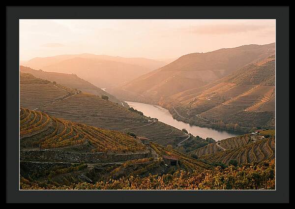Douro Valley Serenity