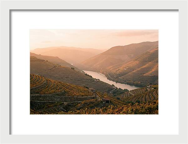 Douro Valley Serenity