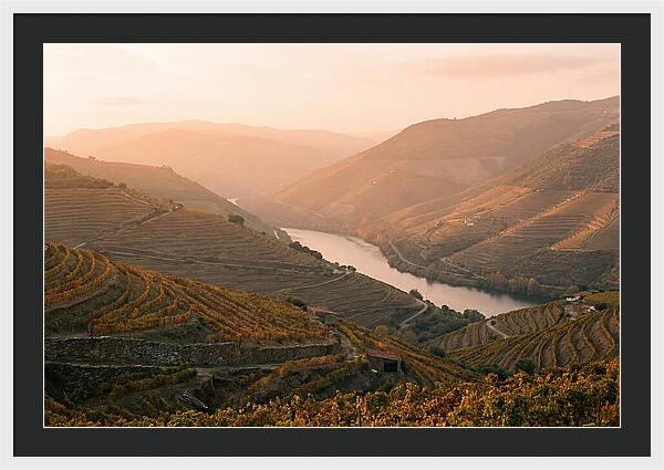 Douro Valley Serenity