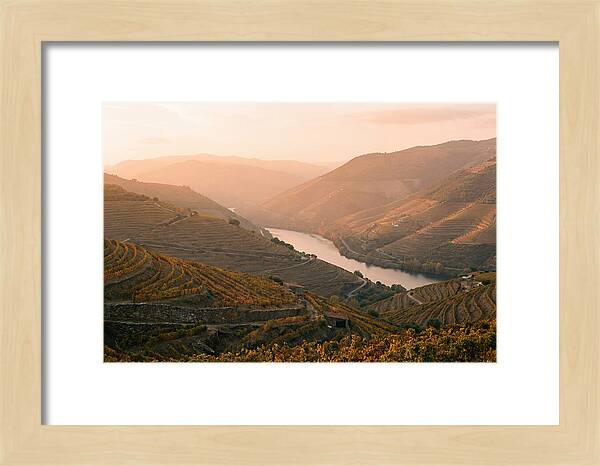 Douro Valley Serenity