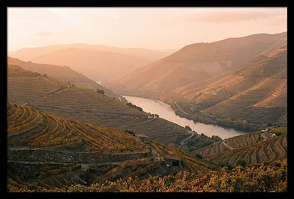 Douro Valley Serenity