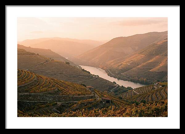 Douro Valley Serenity