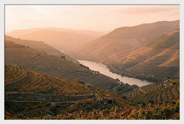 Douro Valley Serenity