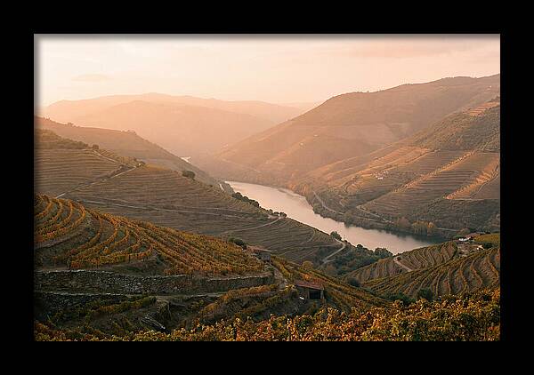 Douro Valley Serenity