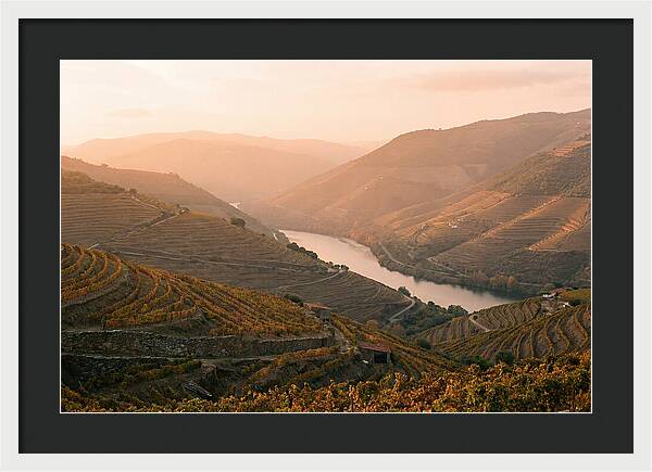 Douro Valley Serenity
