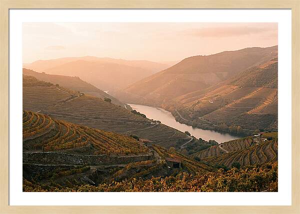 Douro Valley Serenity