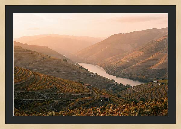 Douro Valley Serenity