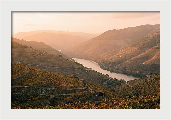Douro Valley Serenity