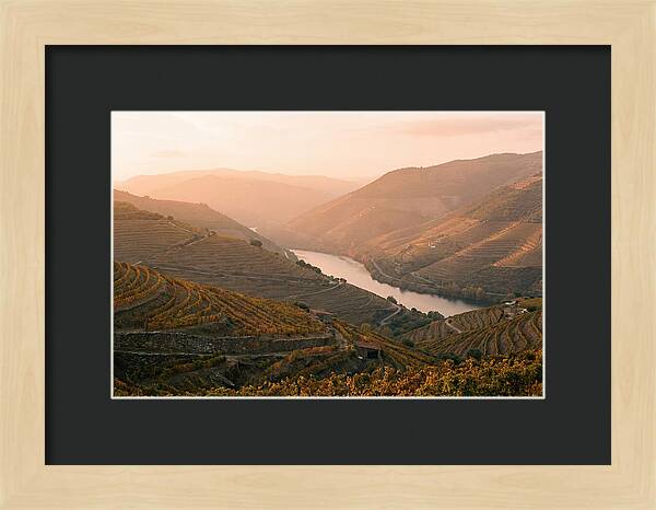 Douro Valley Serenity
