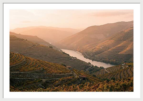 Douro Valley Serenity