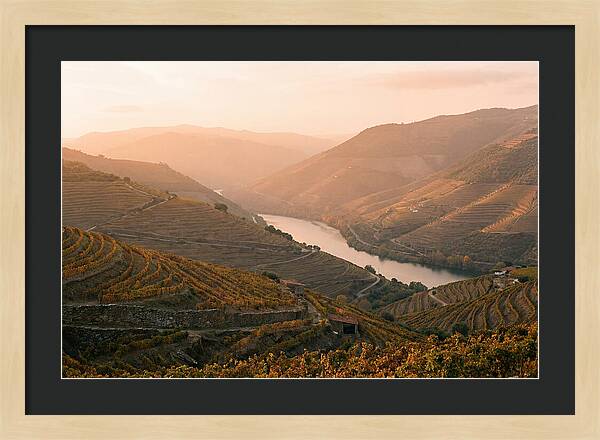 Douro Valley Serenity
