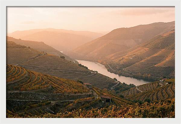 Douro Valley Serenity