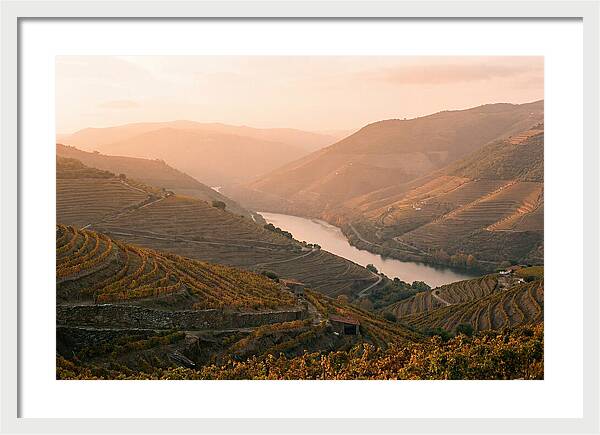 Douro Valley Serenity