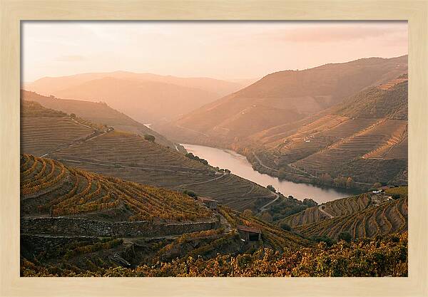 Douro Valley Serenity