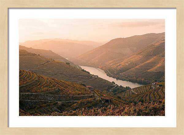 Douro Valley Serenity