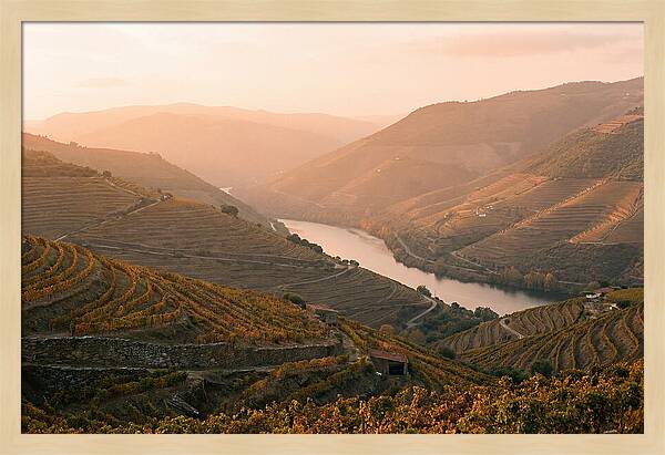 Douro Valley Serenity
