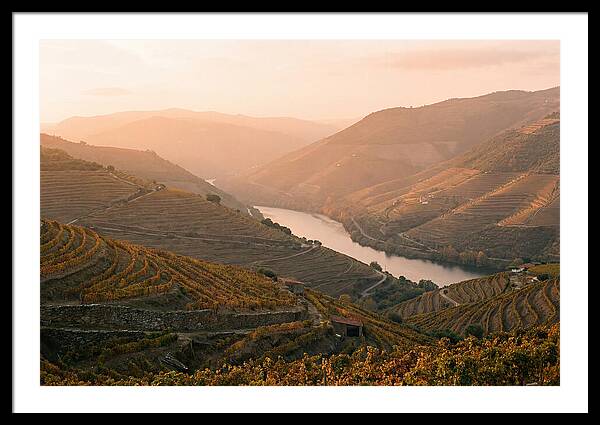 Douro Valley Serenity
