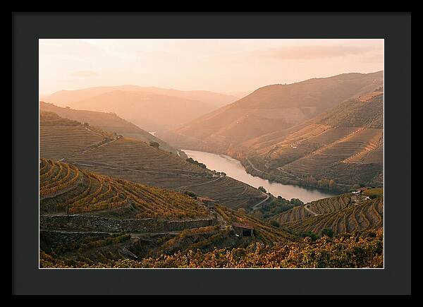 Douro Valley Serenity