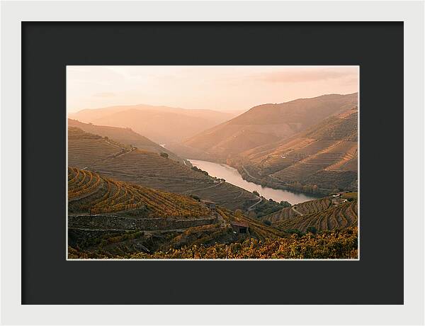 Douro Valley Serenity