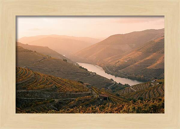 Douro Valley Serenity