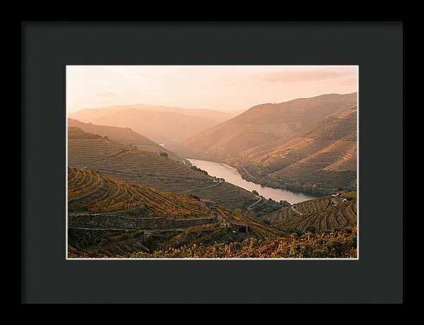 Douro Valley Serenity
