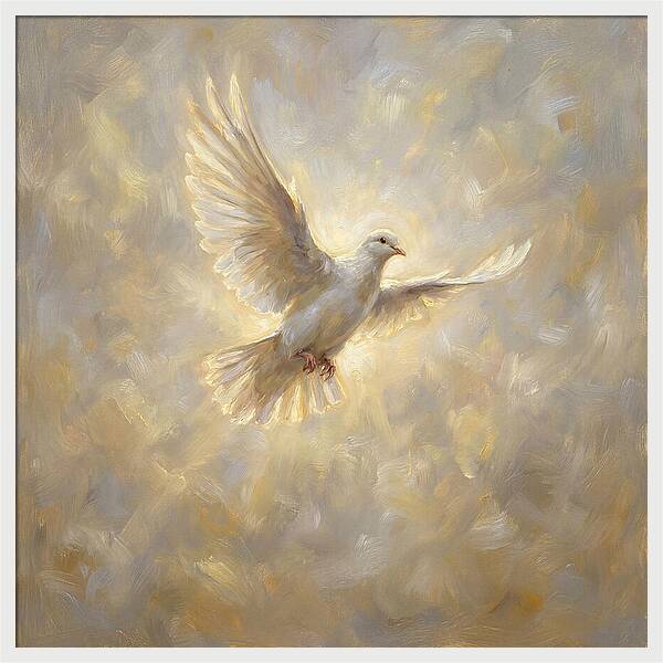 Dove In Flight