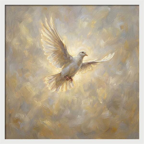 Dove In Flight