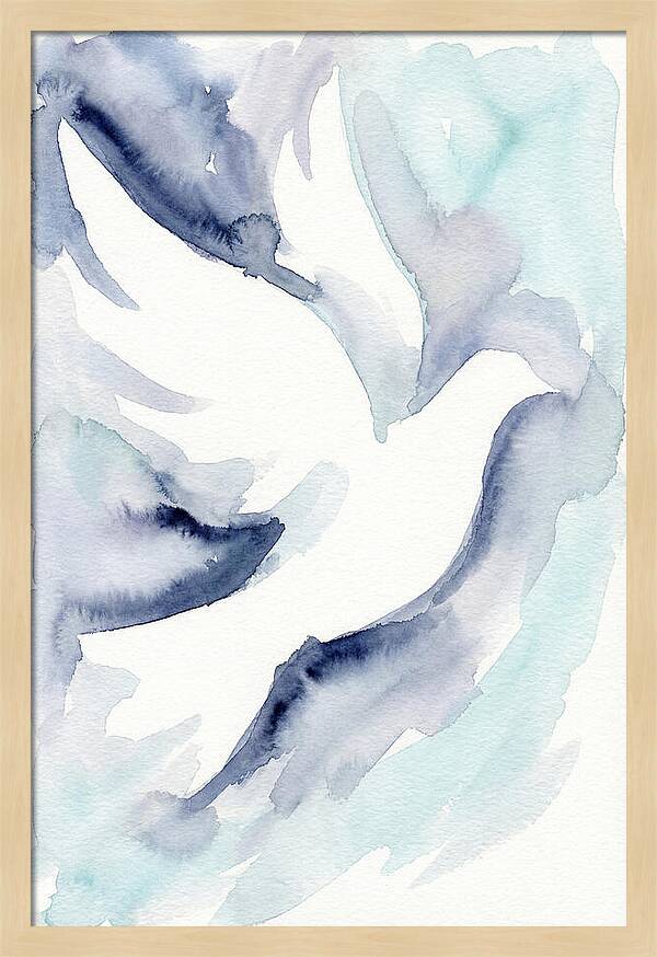 Dove In Watercolor Serenity