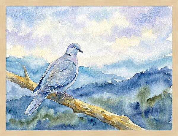 Dove Perched In Serenity