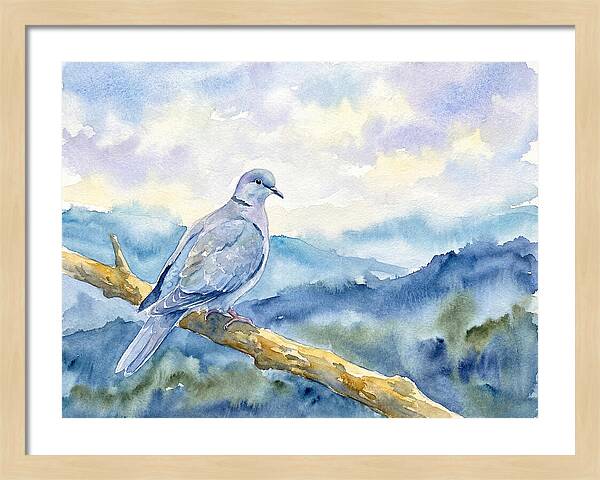 Dove Perched In Serenity