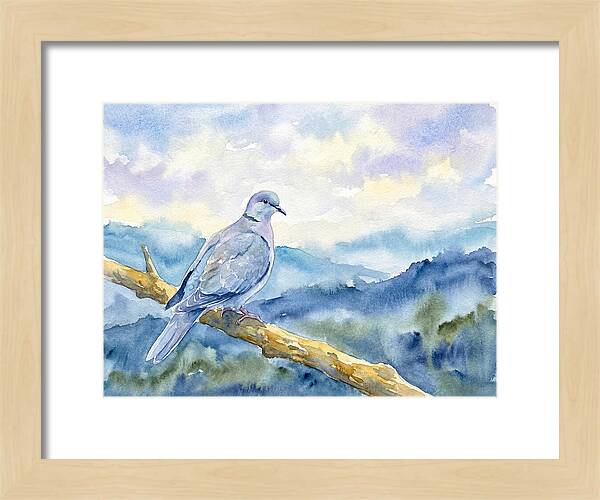 Dove Perched In Serenity