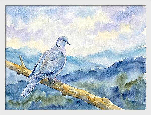 Dove Perched In Serenity