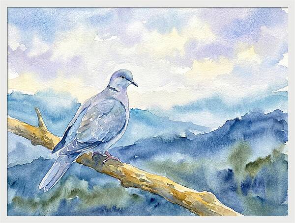 Dove Perched In Serenity