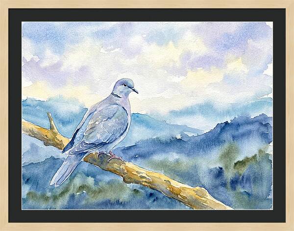 Dove Perched In Serenity