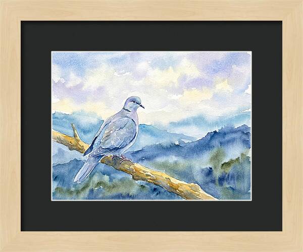Dove Perched In Serenity