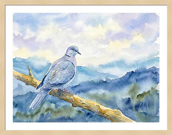 Dove Perched In Serenity