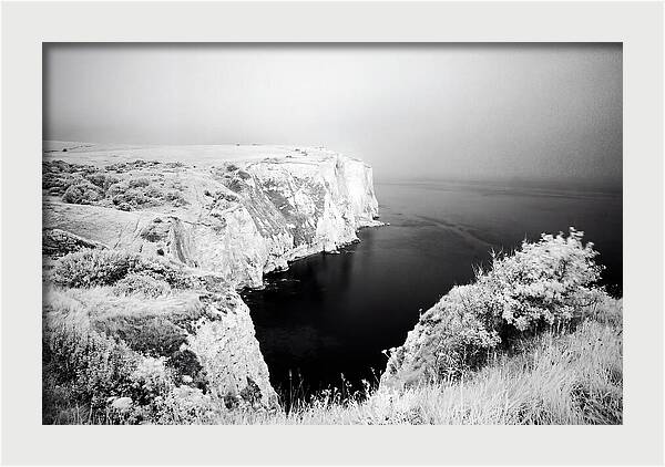 Dovers Majestic White Cliffs