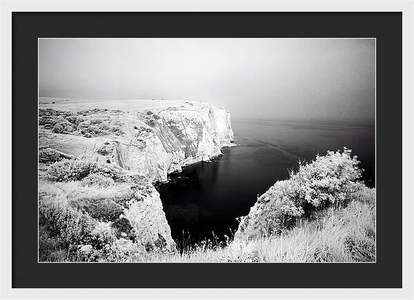Dovers Majestic White Cliffs