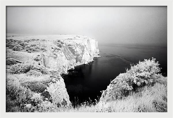 Dovers Majestic White Cliffs