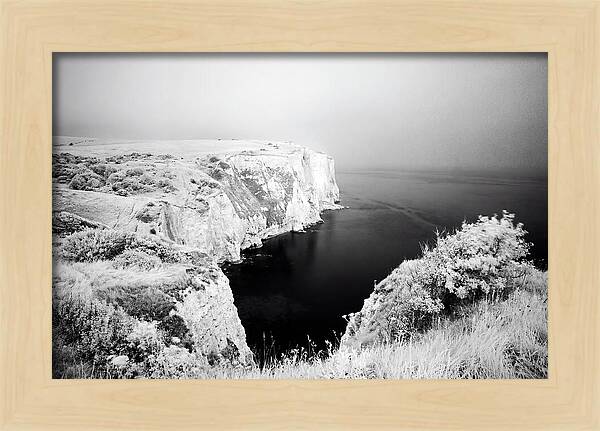 Dovers Majestic White Cliffs