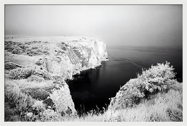 Dovers Majestic White Cliffs