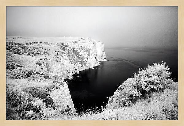 Dovers Majestic White Cliffs