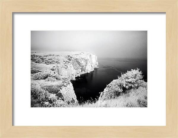 Dovers Majestic White Cliffs