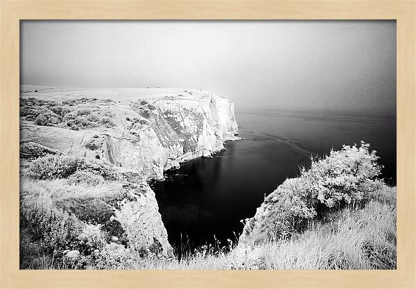 Dovers Majestic White Cliffs