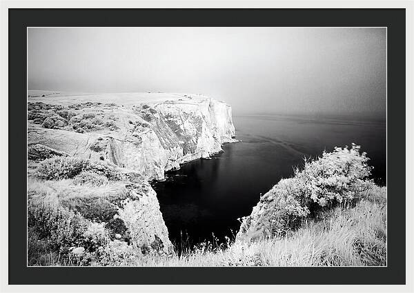 Dovers Majestic White Cliffs