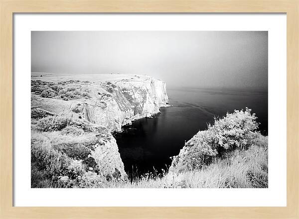Dovers Majestic White Cliffs