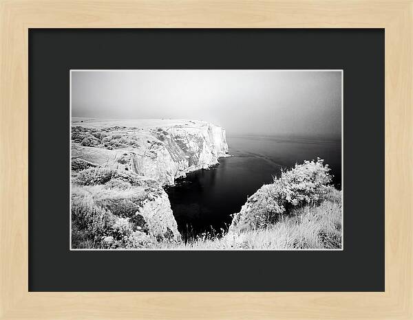 Dovers Majestic White Cliffs