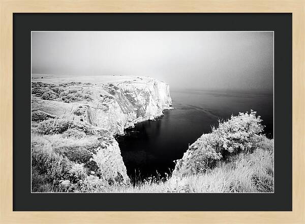 Dovers Majestic White Cliffs