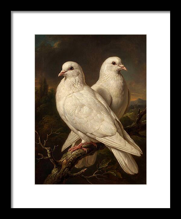 Doves Perched In Harmony