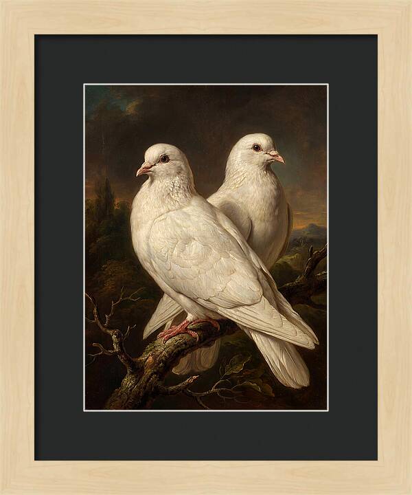 Doves Perched In Harmony
